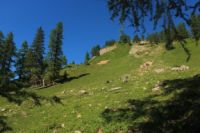 2015-07-01_1Pano-bei-Lacke (312).JPG
